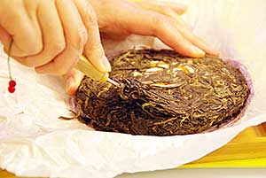 Pu-erh Tea FAQs